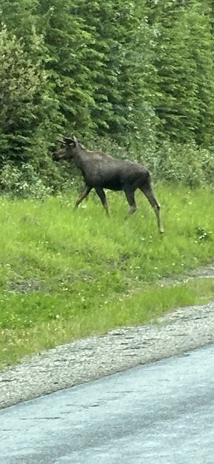 IMG_7657.jpeg