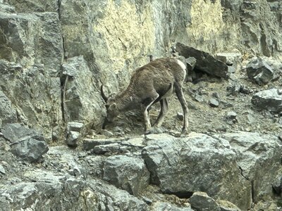 IMG_7675.jpeg