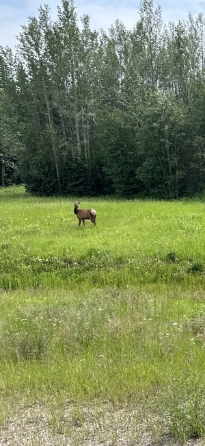 IMG_7718.jpeg