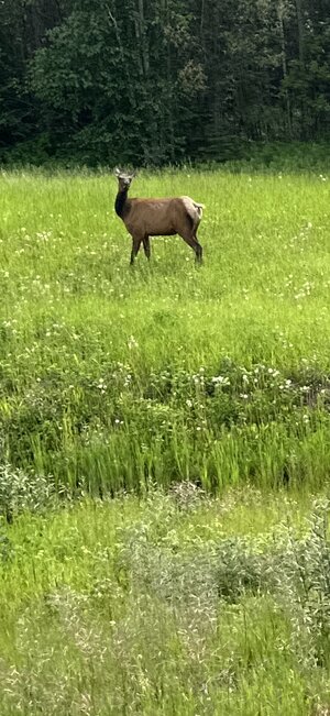 IMG_7719.jpeg