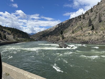 IMG_8137.jpeg