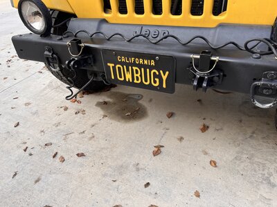 IMG_2375.jpeg IMG_2375.jpeg