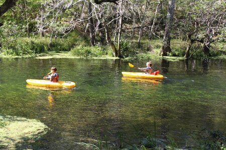 Florida Springs and River! Tiny home with 50 amp full hookup for RV for rent