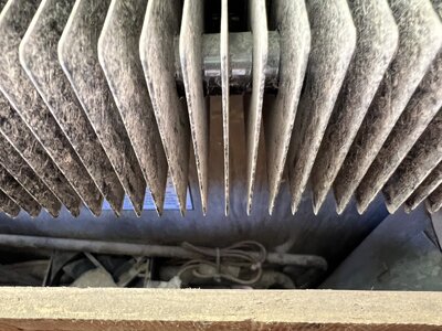 IMG_0224.jpeg