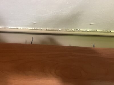 IMG_5252.jpeg