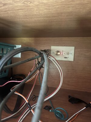IMG_3743.jpeg