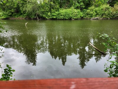 20250510_171648.jpg