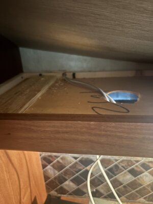 IMG_2719.jpeg