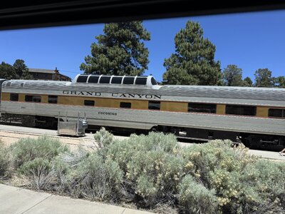 IMG_2872.jpeg