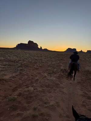 IMG_2915.jpeg