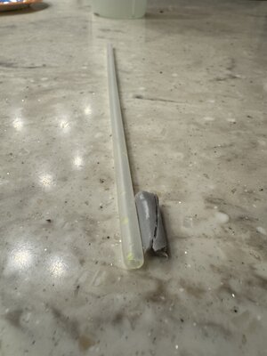 IMG_2943.jpeg