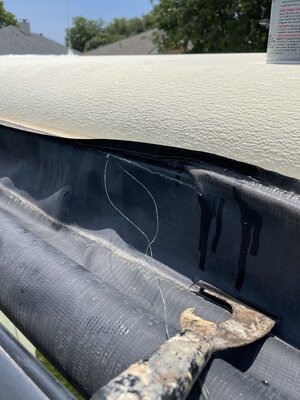 IMG_0807.jpeg
