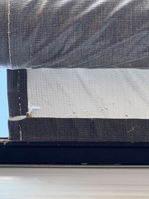 IMG_0679.jpeg