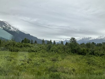 IMG_1013.jpeg