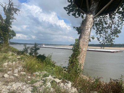 IMG_6750.jpeg