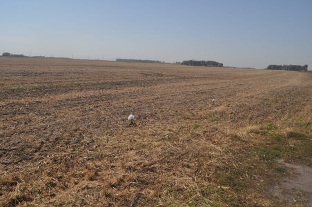 03 13 Crash Site.JPG