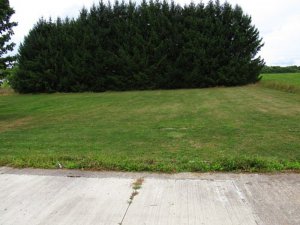 img_1830a.jpg