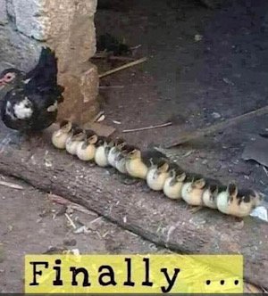 1603109770699.jpeg
