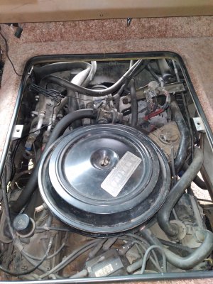 20201106_143354.jpg