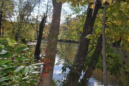 03 02 October 10 2025 Green Briar River.JPG