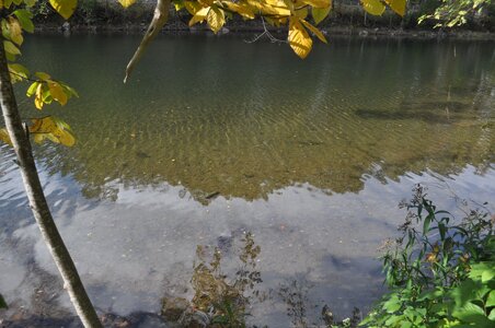 03 03 October 10 2025 Green Briar River.JPG