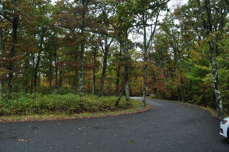 03 23 October 13 2025 Blue Ridgr Parkway.JPG
