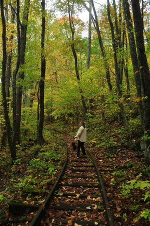 03 36 October 13 2025 Blue Ridgr Parkway.JPG