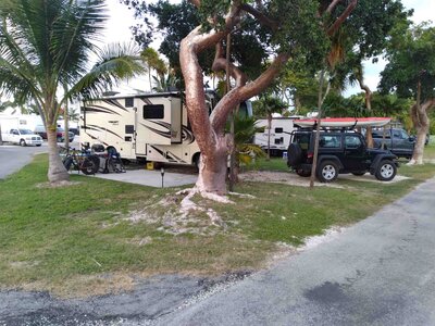 01 03 November 12 2025  Jolly Roger RV Resort site 01.jpg