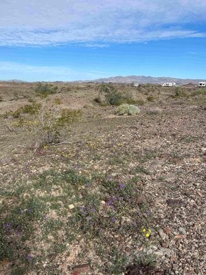 01 06 February 05 2026 Blue Cloud BLM.JPG