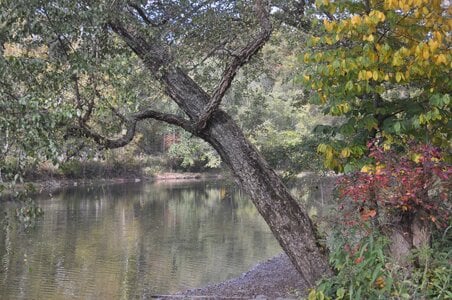 03 04 October 10 2025 Green Briar River.JPG