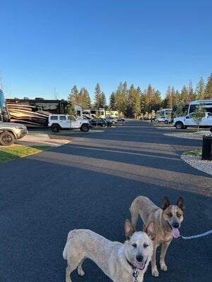 IMG_1488.JPG