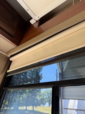 IMG_4279.jpeg