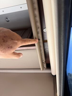 IMG_4281.jpeg