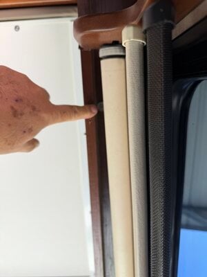 IMG_4282.jpeg
