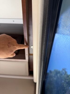 IMG_4283.jpeg