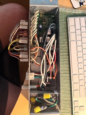 IMG_0318.jpeg