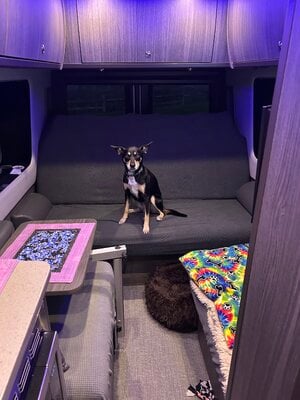 IMG_1331.jpeg