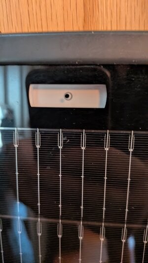 PXL_20260915_202611085.MACRO_FOCUS.jpg