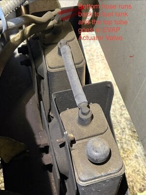 IMG_2599.jpeg