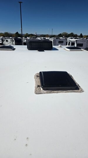 IMG_9912.jpeg