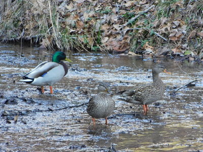 DSCN3397.JPG