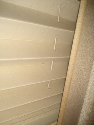 IMG_20210309_125208861.jpg