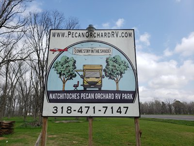 PecanOrchard.jpg