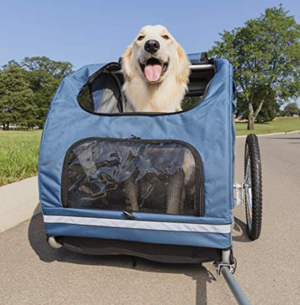 dog-cart.png