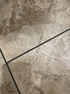 IMG_0055.jpeg