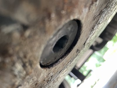 IMG_0108.jpeg