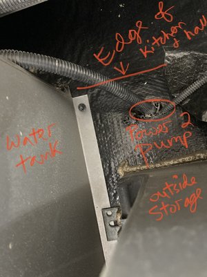 61031FCF-39C9-45A7-B117-1B6BEB4A1ADC.jpeg
