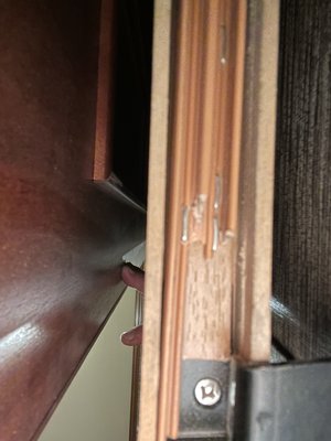 IMG_0042.jpeg